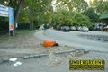 Gallery image 67