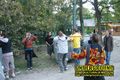 Gallery image 71