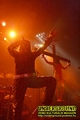 Gallery image 21