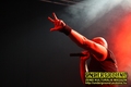 Gallery image 22