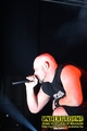 Gallery image 23