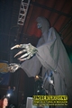 Gallery image 29
