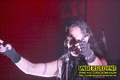 Gallery image 36
