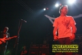 Gallery image 37