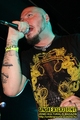 Gallery image 41