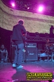 Gallery image 45