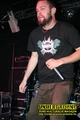 Gallery image 11