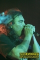 Gallery image 20