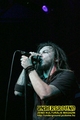 Gallery image 25