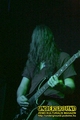 Gallery image 29