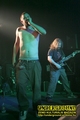 Gallery image 38