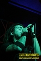 Gallery image 39