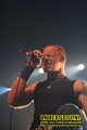 Gallery image 29