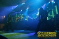 Gallery image 25