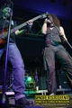 Gallery image 10