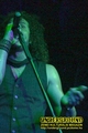 Gallery image 29