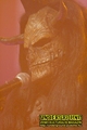 Gallery image 37