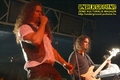 Gallery image 20