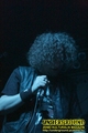 Gallery image 26