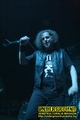 Gallery image 30