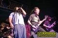 Gallery image 39