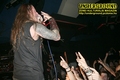 Gallery image 38