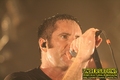 Gallery image 21