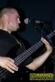Gallery image 20