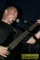 Gallery image 21