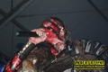 Gallery image 21