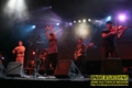 Gallery image 38