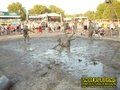 Gallery image 43