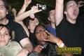 Gallery image 39
