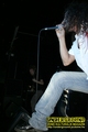 Gallery image 36