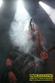 Gallery image 53