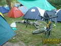 Gallery image 23