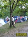 Gallery image 34
