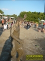 Gallery image 70