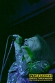 Gallery image 50