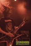 Gallery image 30