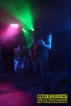 Gallery image 10