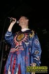 Gallery image 31