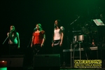 Gallery image 36