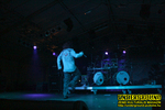 Gallery image 13