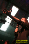 Gallery image 27