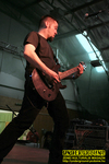 Gallery image 31