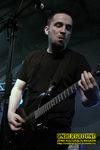 Gallery image 39