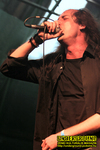 Gallery image 50