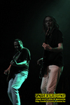 Gallery image 21