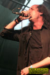 Gallery image 53